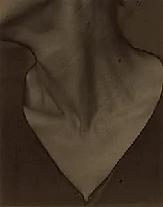 Georgia O'Keeffe—Neck by Alfred Stieglitz