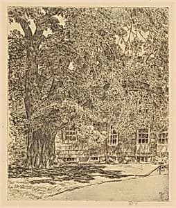 Giant Elm, Easthampton by Childe Hassam