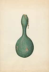 Gourd Bottle by Sydney Roberts
