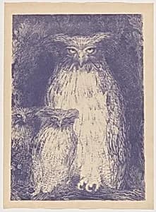 Grand-duc (Eagle Owl)