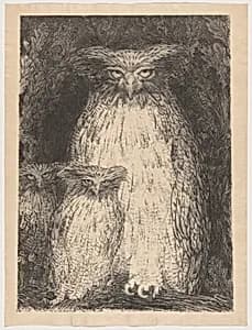 Grand-duc (Eagle Owl)