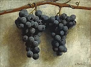 Grapes by Joseph Decker