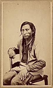 Gray Wolf by William Gunnison Chamberlain