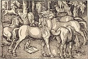 Group of Seven Horses by Hans Baldung Grien