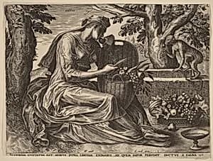 Gustus (Taste)