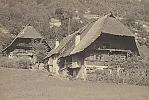 Gutach Houses by Alfred Stieglitz