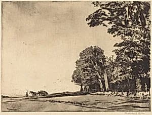 Hampstead Heath by Muirhead Bone