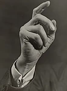 Hand by Albert Renger-Patzsch
