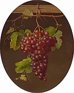 Hanging Bunch of Grapes by Sarah Wilhelmina Wenzler