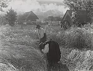 Harvesting, Black Forest by Alfred Stieglitz