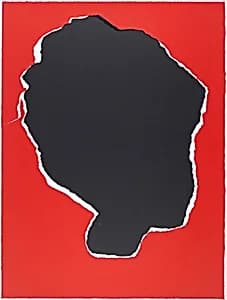 Head