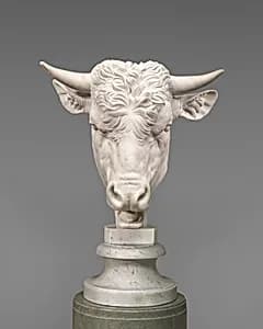 Head of a Bull by Gaetano Monti