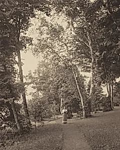 Hedwigspath, Oaklawn, Lake George by Alfred Stieglitz