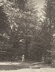 "Hedwigsweg" II, Lake George by Alfred Stieglitz