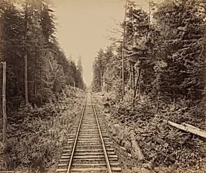 Hemlock Forest by William H. Rau