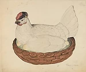 Hen on Nest by Robert Gilson