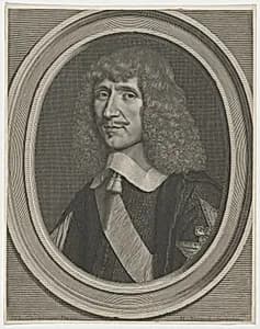 Henri Du Plessis