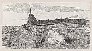 Holy Cow (Pio bove) by Giovanni Fattori