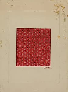 Homespun Cotton Textile by Percival Jenner