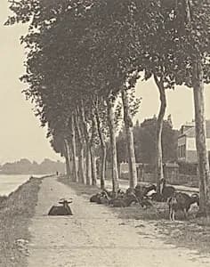 Homeward by Alfred Stieglitz