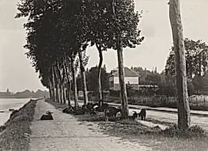 Homeward by Alfred Stieglitz