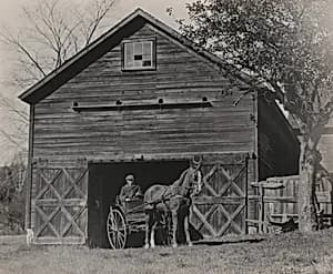 Horse and Carriage by Alfred Stieglitz