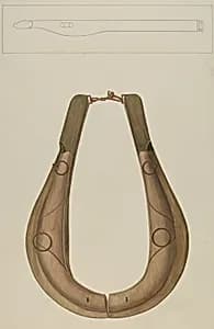 Horse Collar and Hame by Wilbur M Rice