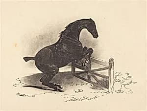 Horse Jumping a Barrier