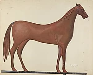 Horse Weather Vane by Chris Makrenos