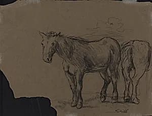 Horses