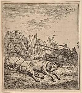 Hunting Dogs by Karel Dujardin