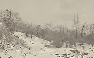 Impression, Winter by Alfred Stieglitz