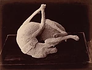Impronte, Pompei (Cast, Pompeii) by Giorgio Sommer