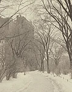 In the Park by Alfred Stieglitz