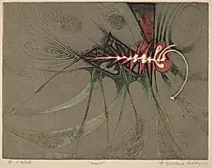 Insect