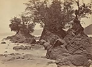 Islands, Limon Bay by John Moran