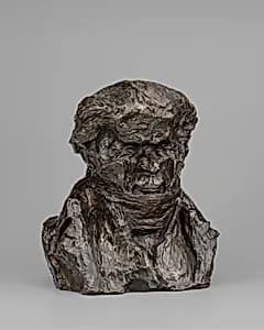 Jean-Pons-Guillaume Viennet by Honoré Daumier