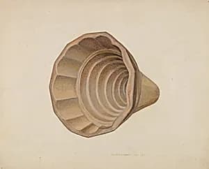 Jelly Mold