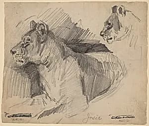Josie by Arthur B. Davies