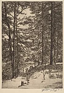 Kentucky Woods