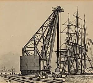 Krahn im Freihafen