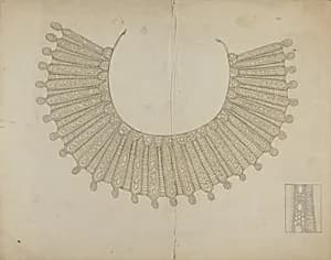 Lace Collar by Grace Halpin