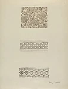 Lace by Carl Buergerniss
