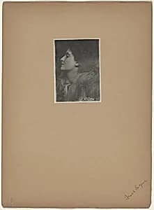 Lady of Charlotte by Frank Eugene