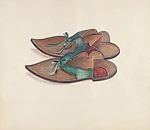 Lady's Overshoes