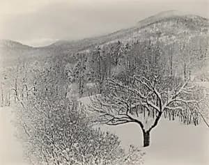 Lake George by Alfred Stieglitz