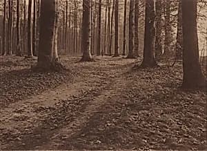 Landscape by Léonard Misonne