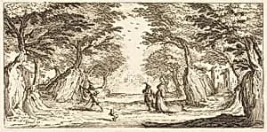 Landscape