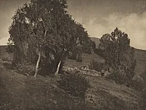 Landscape, The Tyrol by Alfred Stieglitz
