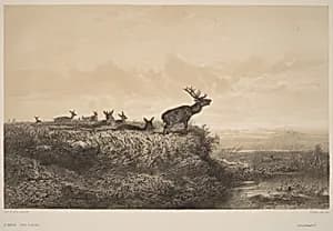 Le Matin by Karl Bodmer
